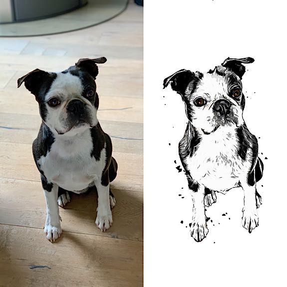 die emm - Hundefotografie