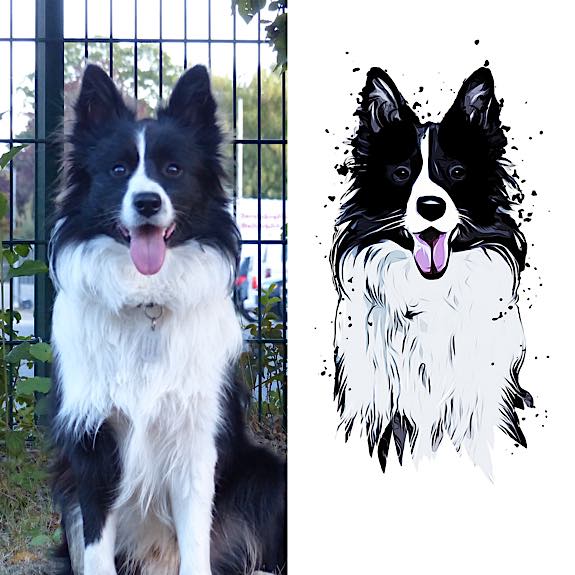 die emm - Hundefotografie